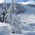 Chalet Marktlhutte *
