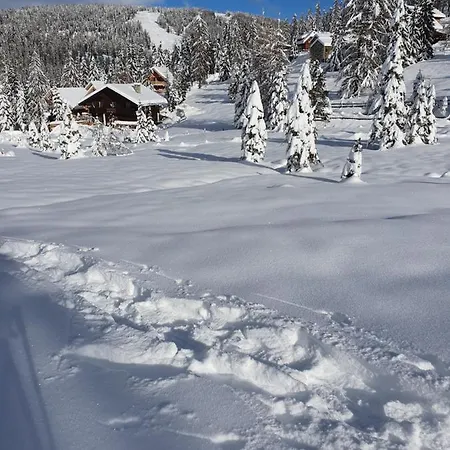 Dağ evi Marktlhuette