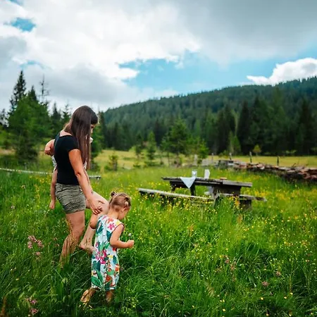 Marktlhuette Dağ evi *