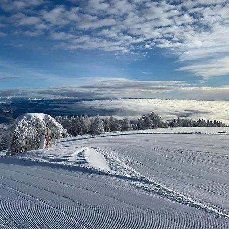 Marktlhutte Chalet