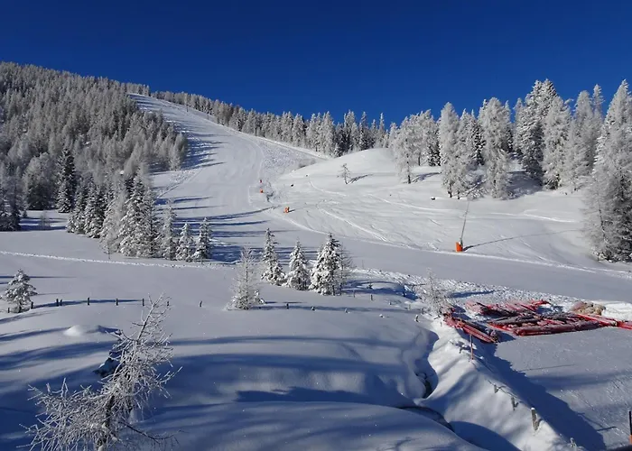 Marktlhuette Hochrindl