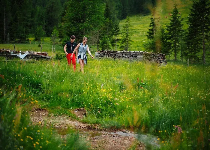 Marktlhuette Domek alpejski *